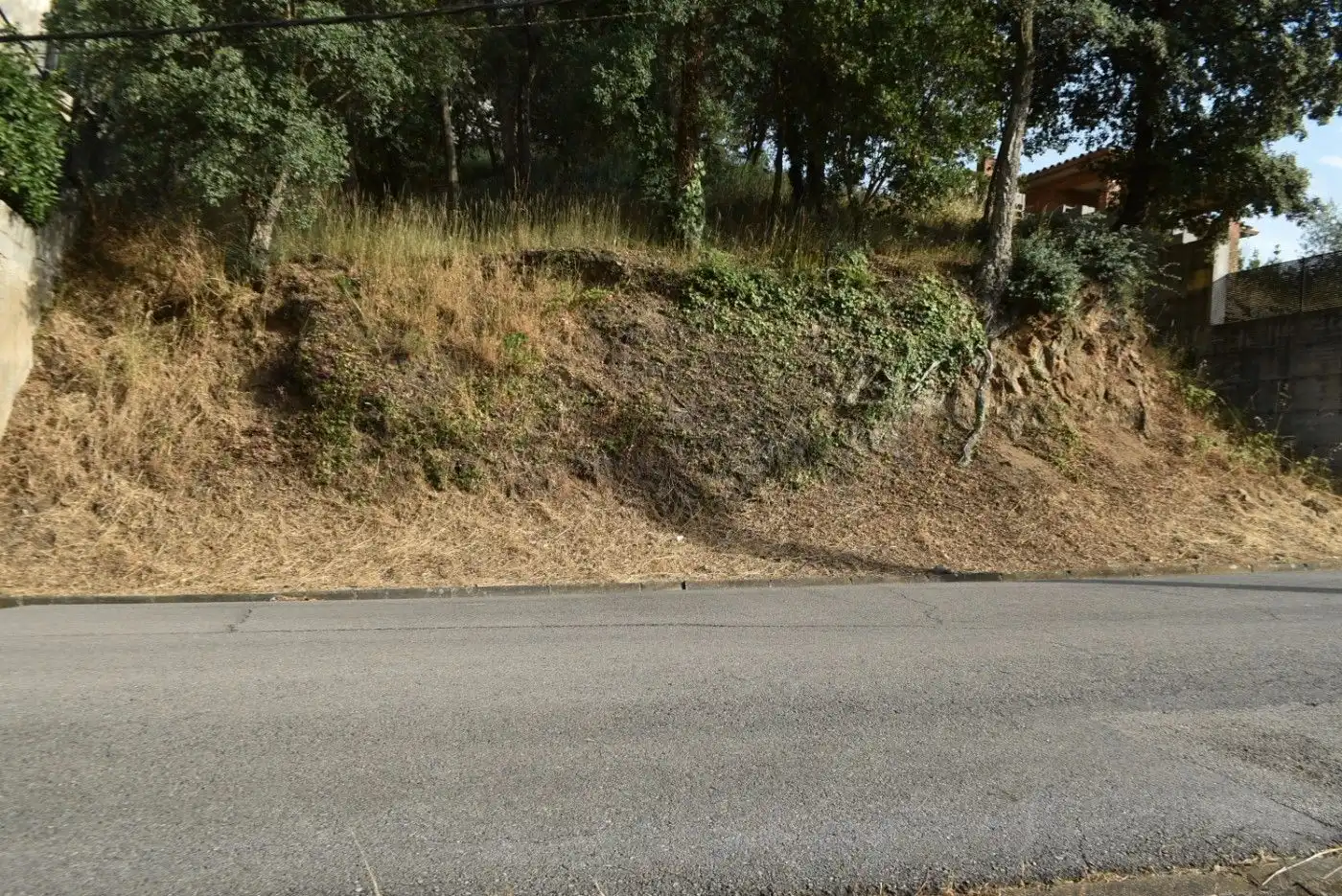 Terreny residencial en venda a Sant Feliu de Buixalleu, imagen 4