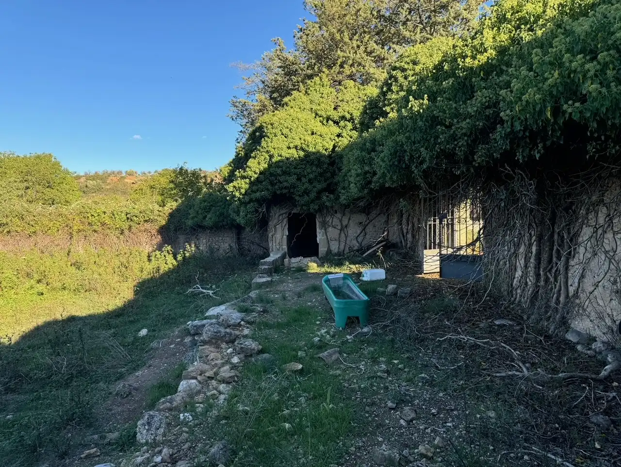 Rural land for sale in Zn Diseminats 8, imagen 8