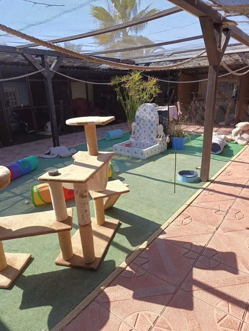 Jardí de Finca rústica en venda en Elche / Elx amb Aire condicionat, Calefacció i Jardí privat