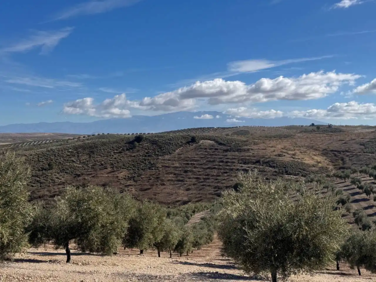 Terreni e lotti in vendita a Alhama de Granada, imagen 9