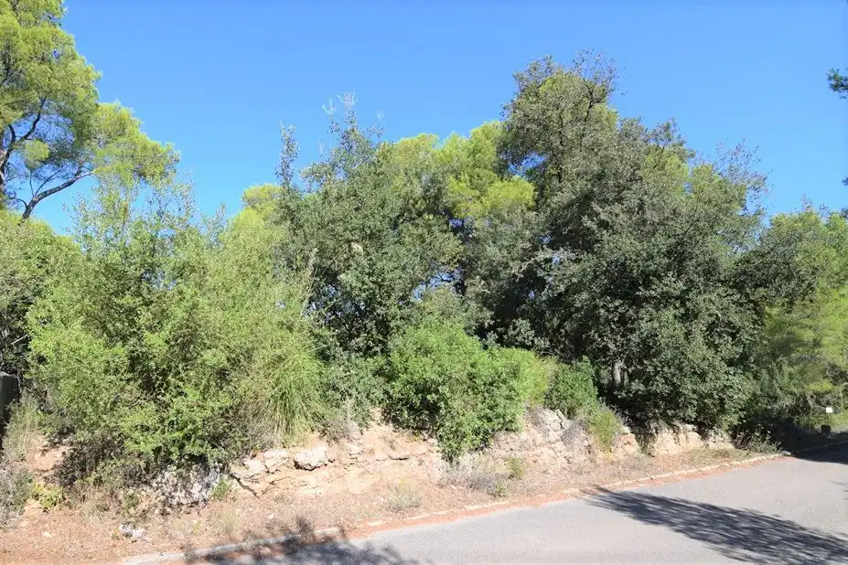Residential land for sale in Betlem