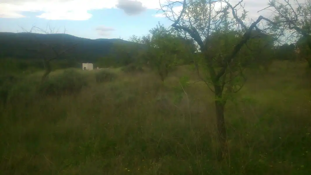 Terrenys i solars en venda a Partida CAMI CARRASCAL