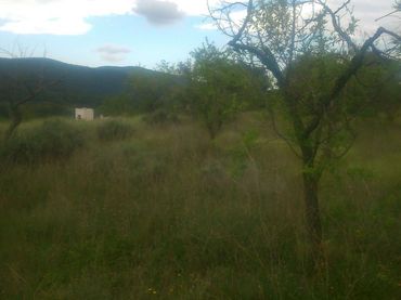 Terrenys i solars en venda a Partida CAMI CARRASCAL