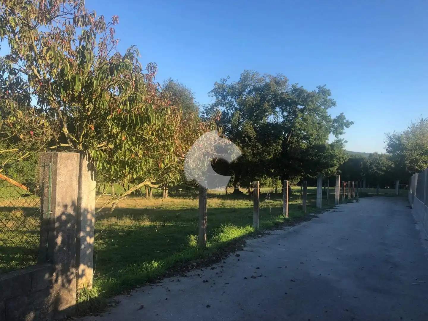Terreni e lotti in vendita a Nogueira de Ramuín