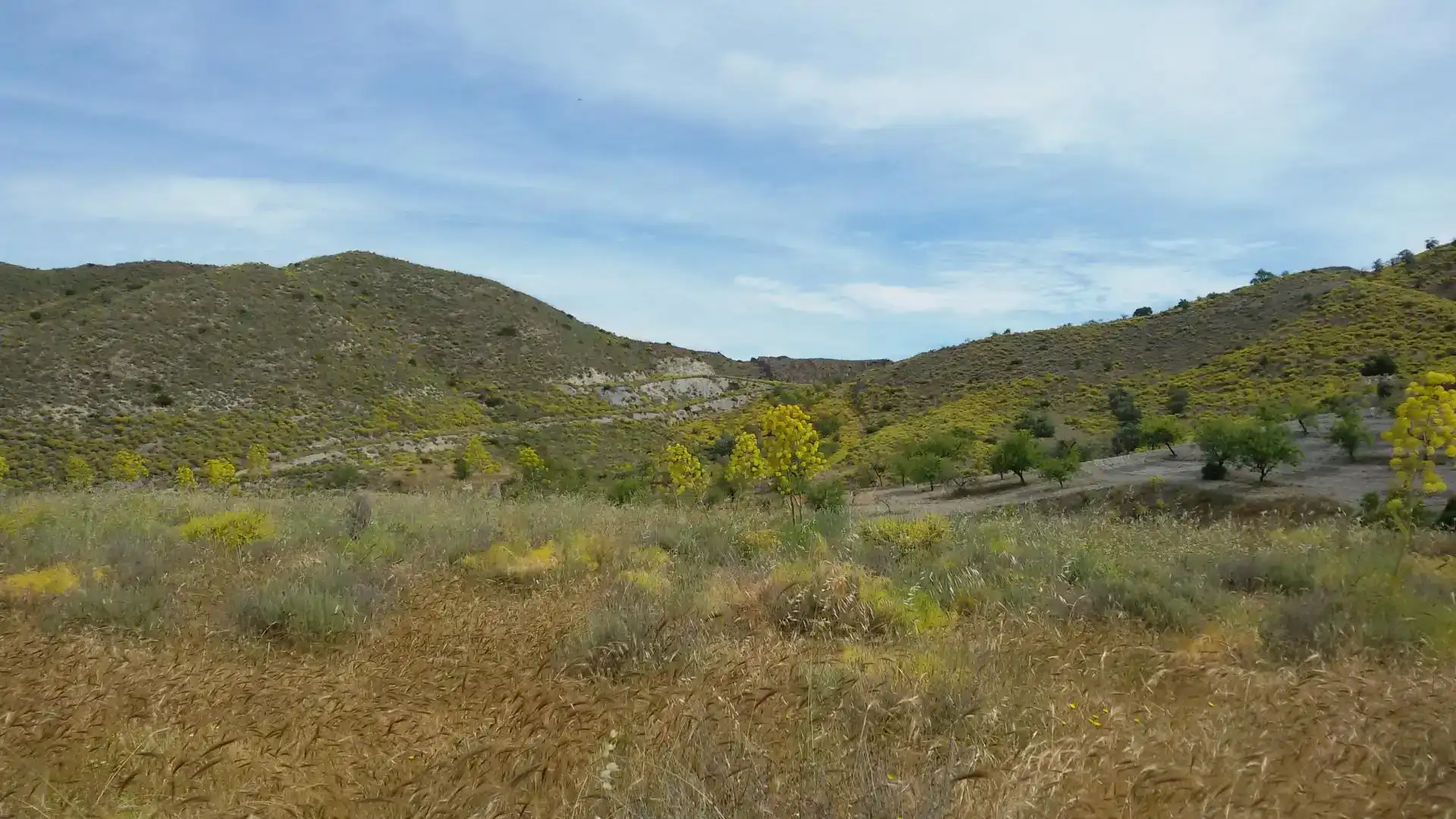 Residencial en venta en Lorca