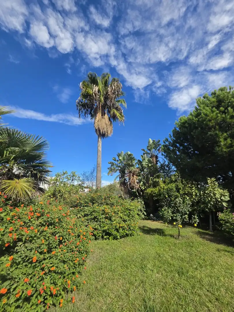 Jardín de Casa o chalet en venta en Casares