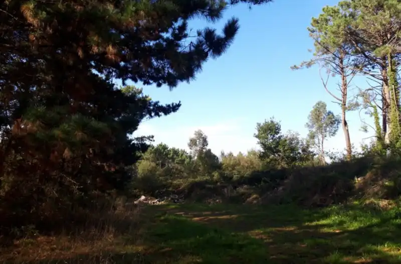 Residencial en venta en OVIÑANA Polígono 13 Parcela , Cudillero
