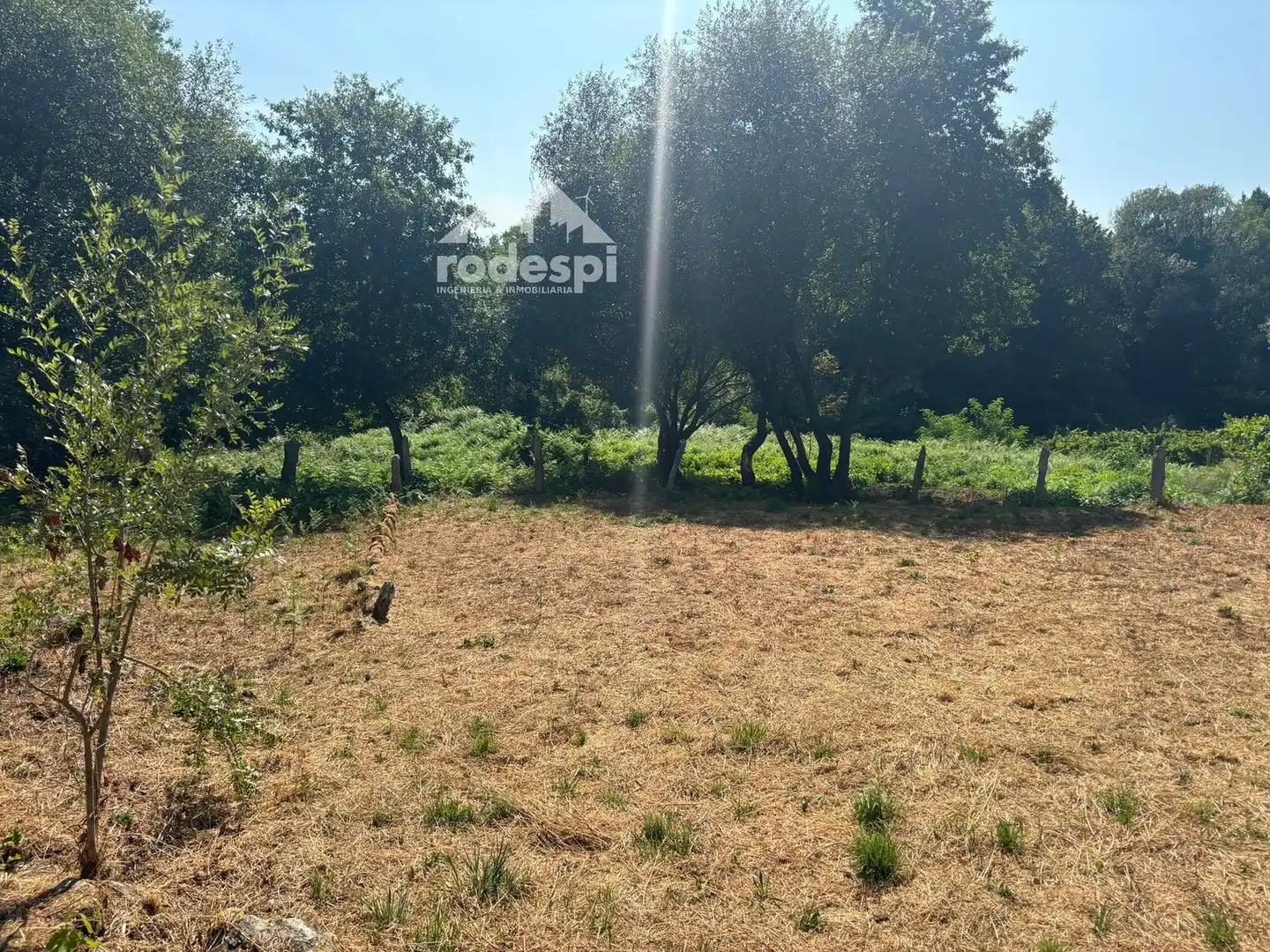 Houses for sale in Arbo