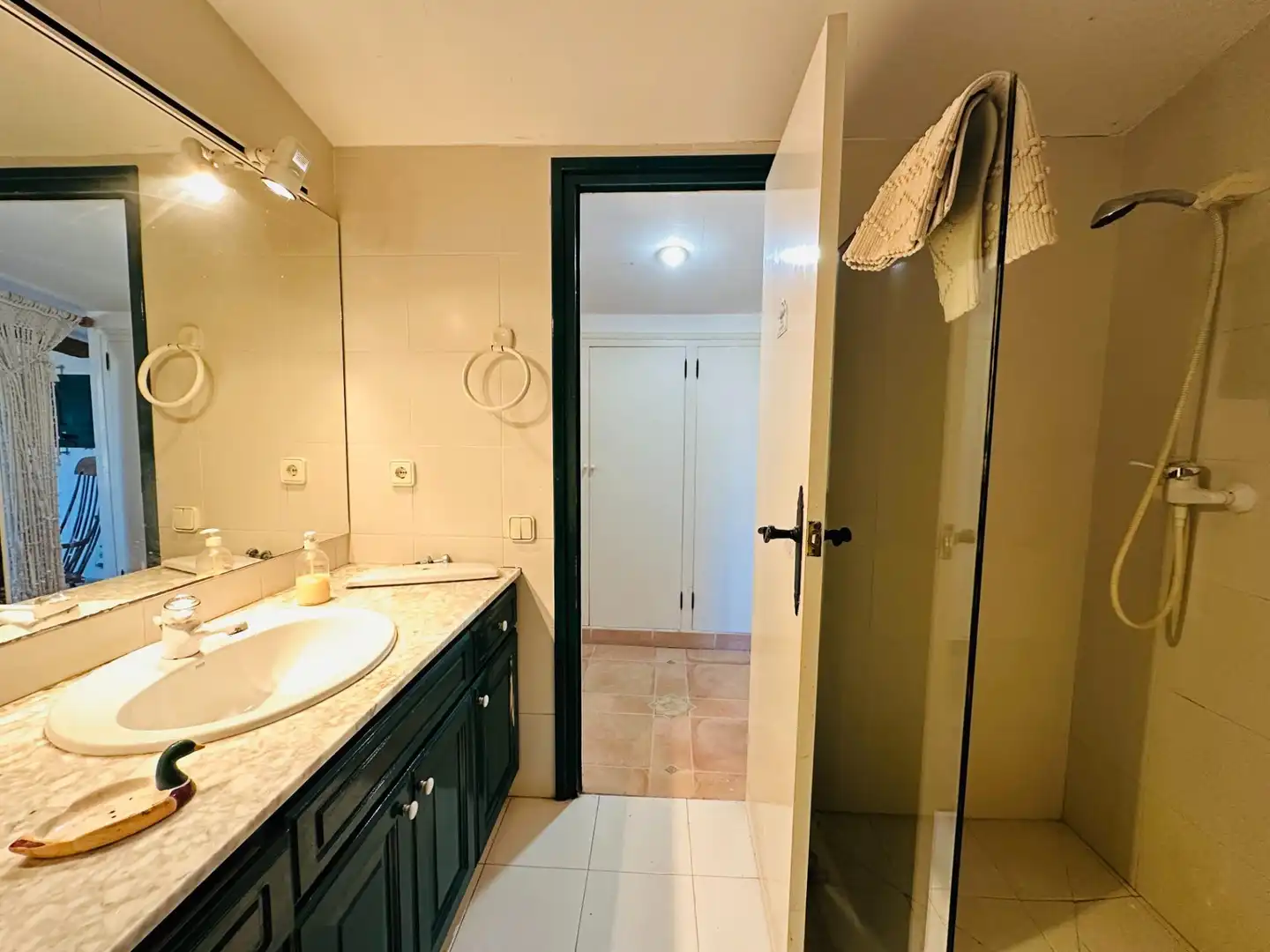 Baño de Casa o chalet en venta en La Ràpita
