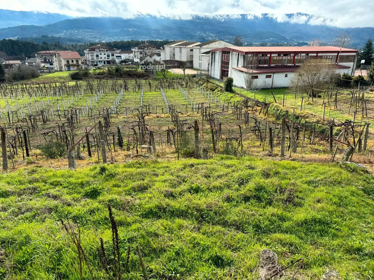 Rural land for sale in Arbo, imagen 18