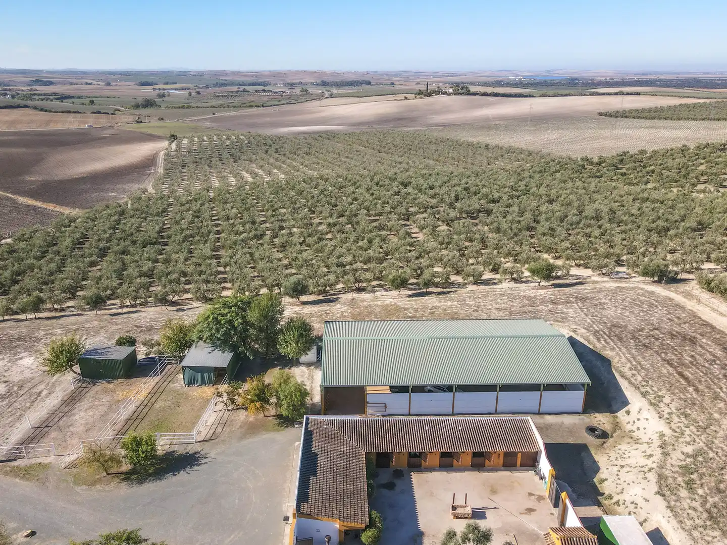 Exterior view of Houses for sale in Morón de la Frontera  with Air Conditioner, Private garden and Swimming Pool
