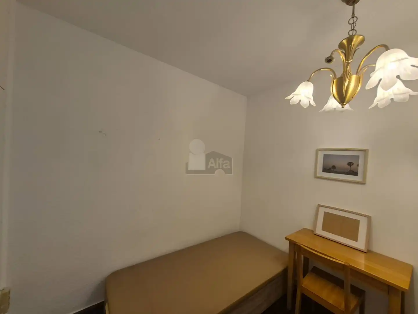 Flat with terrace to rent in Plaza Profesor Tamarit Olmos 16, imagen 28
