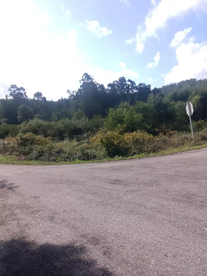 Terrain rustique à vendre à Ribadumia, imagen 5