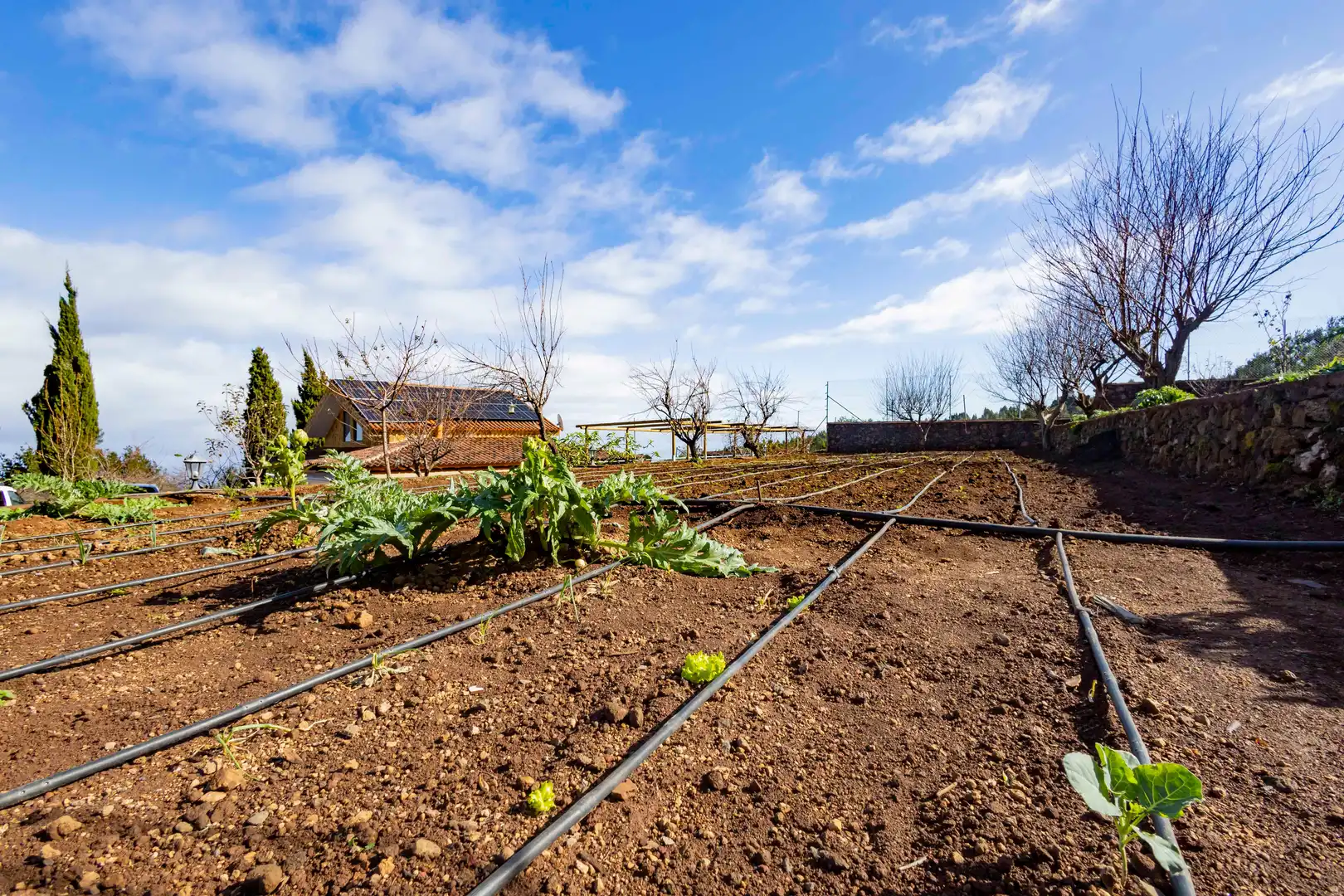 Finca rústica en venda en El Tanque amb Calefacció, Jardí privat i Terrassa