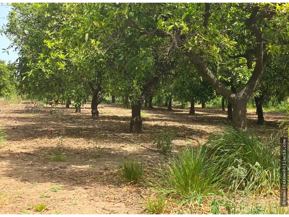 Terrenys i solars en venda a Playa - Ben Afeli, imagen 4