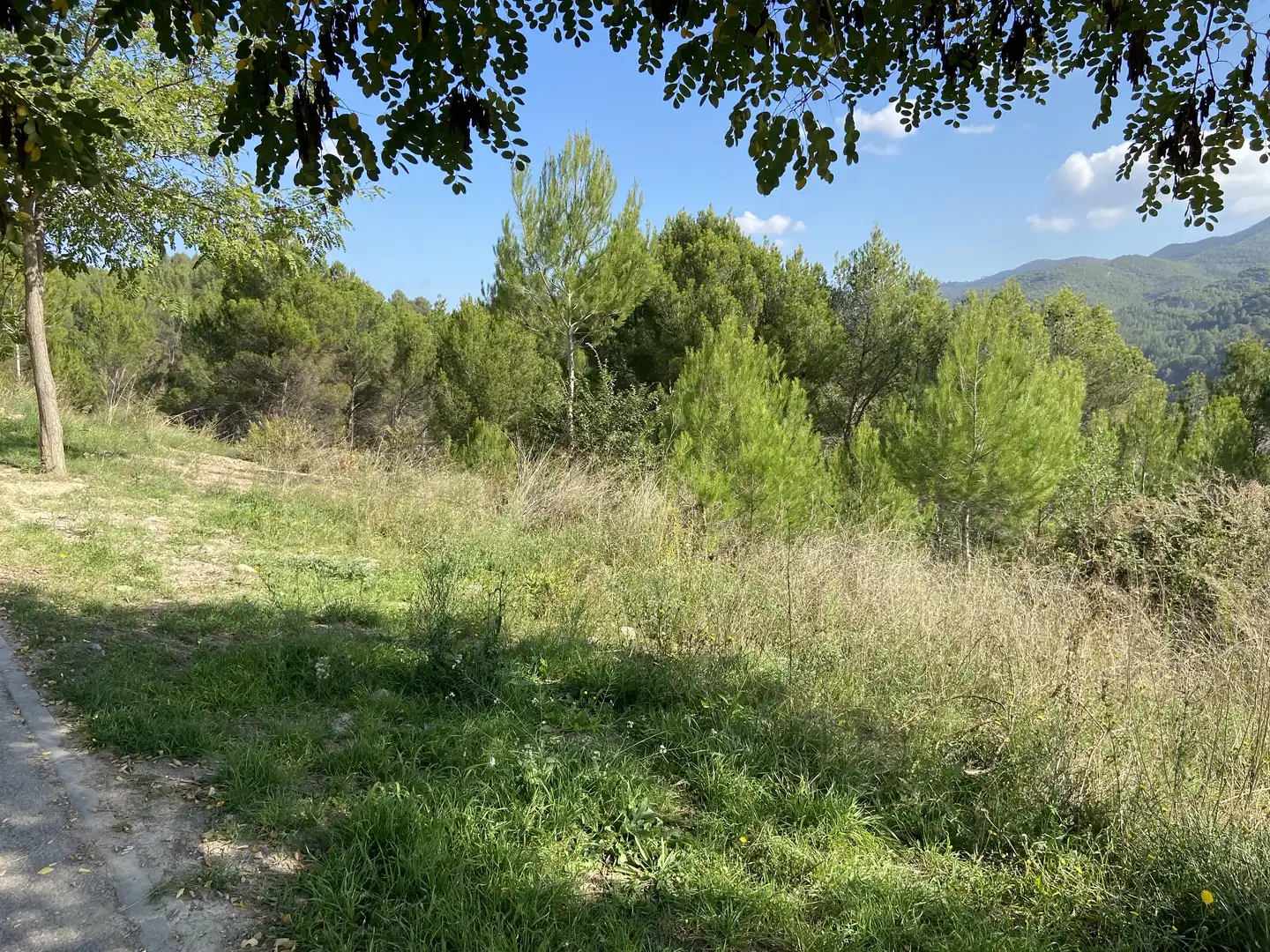 Residencial en venta en Teresa De Calcuta, Súria