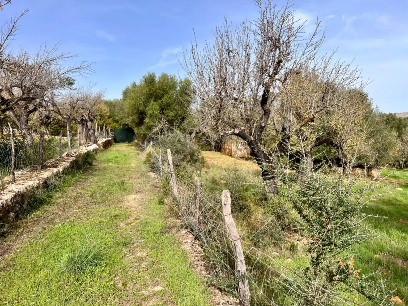 Casa rustica in vendita a Campanet, imagen 11