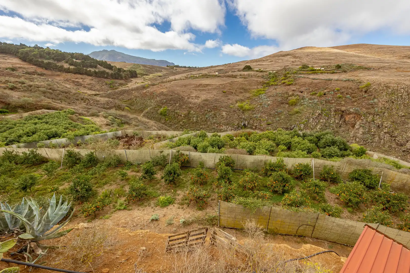 Residencial en venta en Lugar Lomo del Poleo, Saucillo - Fagajesto - Juncalillo