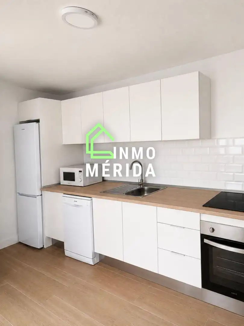 Kitchen of Flat for rent in Mérida