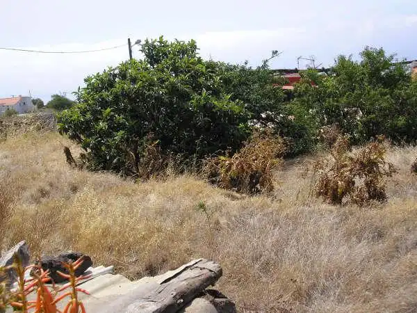 Country homes for sale in El Pinar de El Hierro