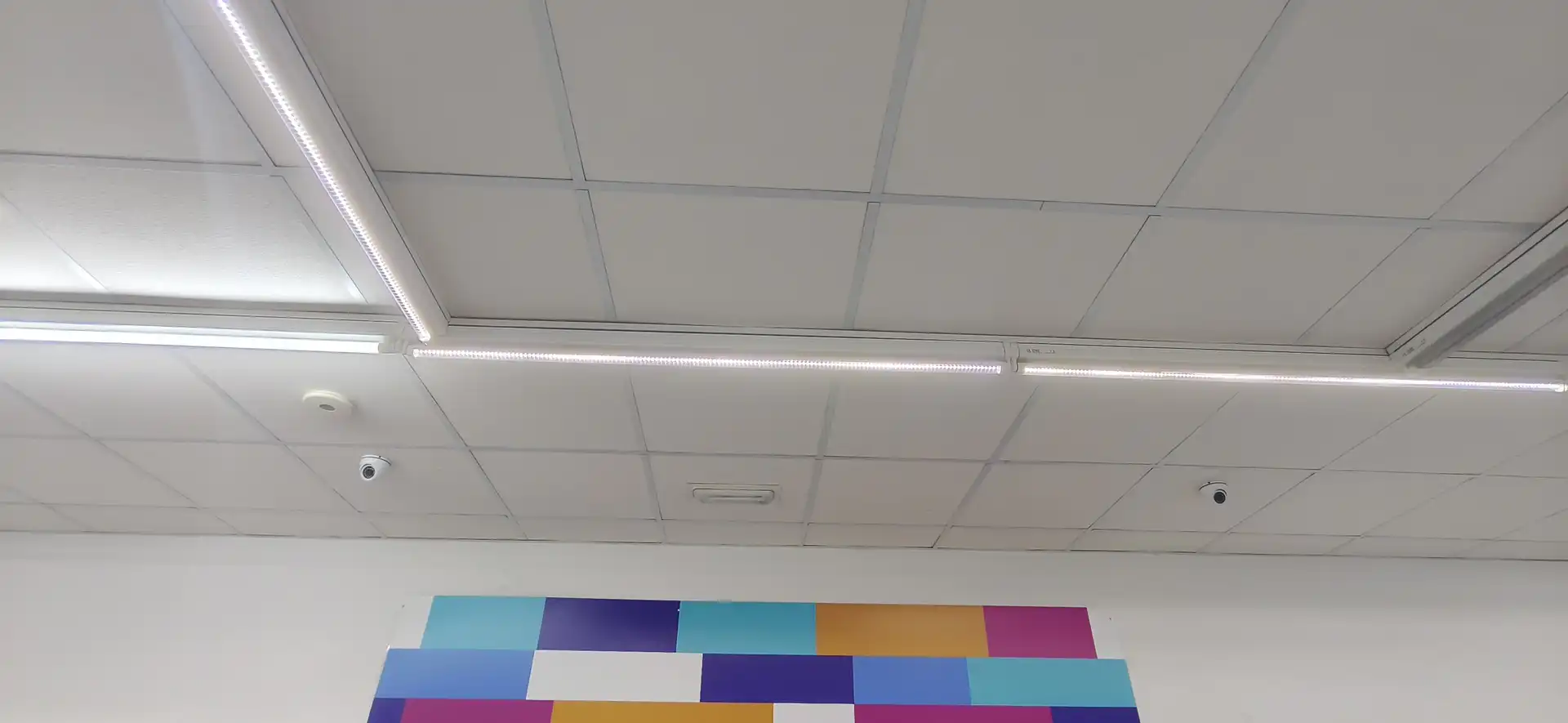 Local comercial de lloguer a SANTA ROSA, imagen 23