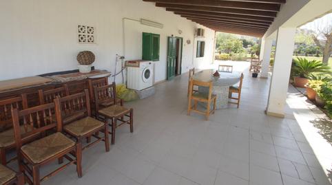 Foto 5 de Finca rústica en venda a Port d'Alcúdia - Platja d'Alcúdia, Alcúdia