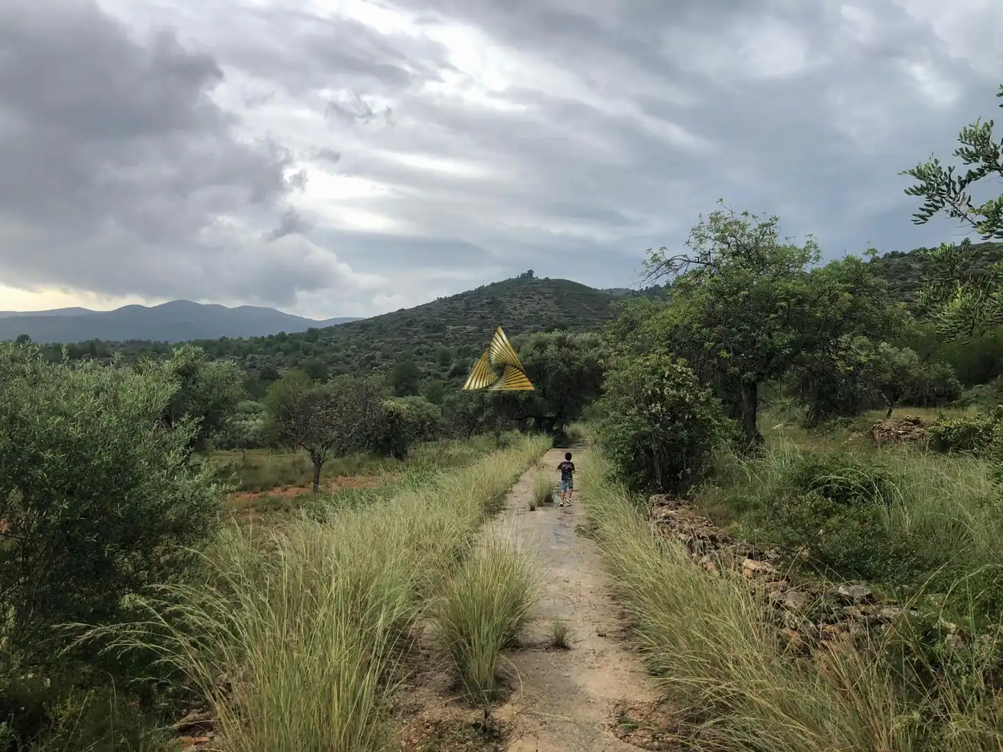 Lands and plots for sale in Las Atalayas - Urmi - Cerro de Mar, imagen 14
