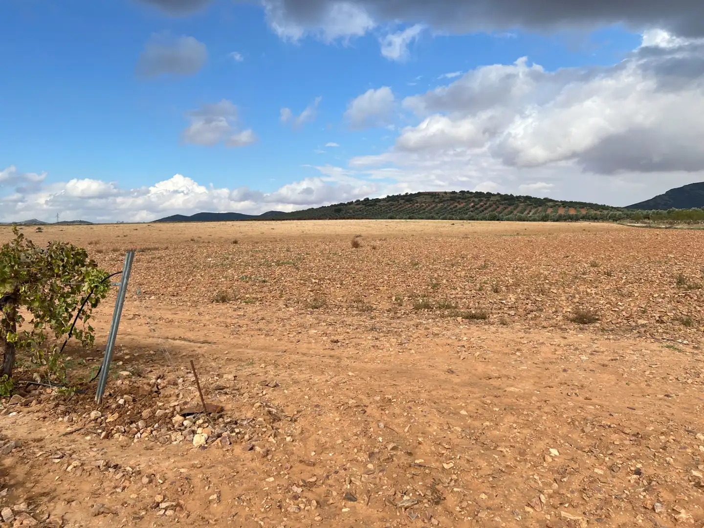 Terreny rústic en venda a Carretera Herencia 14, imagen 11