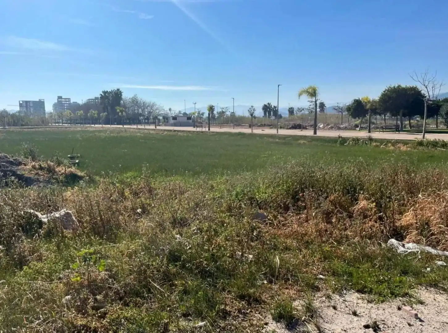 Terreny residencial en venda a Piles, imagen 6