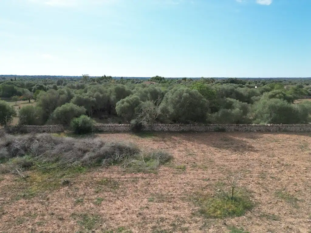 Terreno rustico in vendita a Llucmajor pueblo, imagen 7