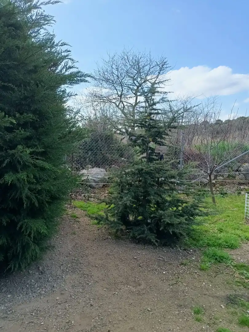 Terreno en venta en Sant Climent Sescebes