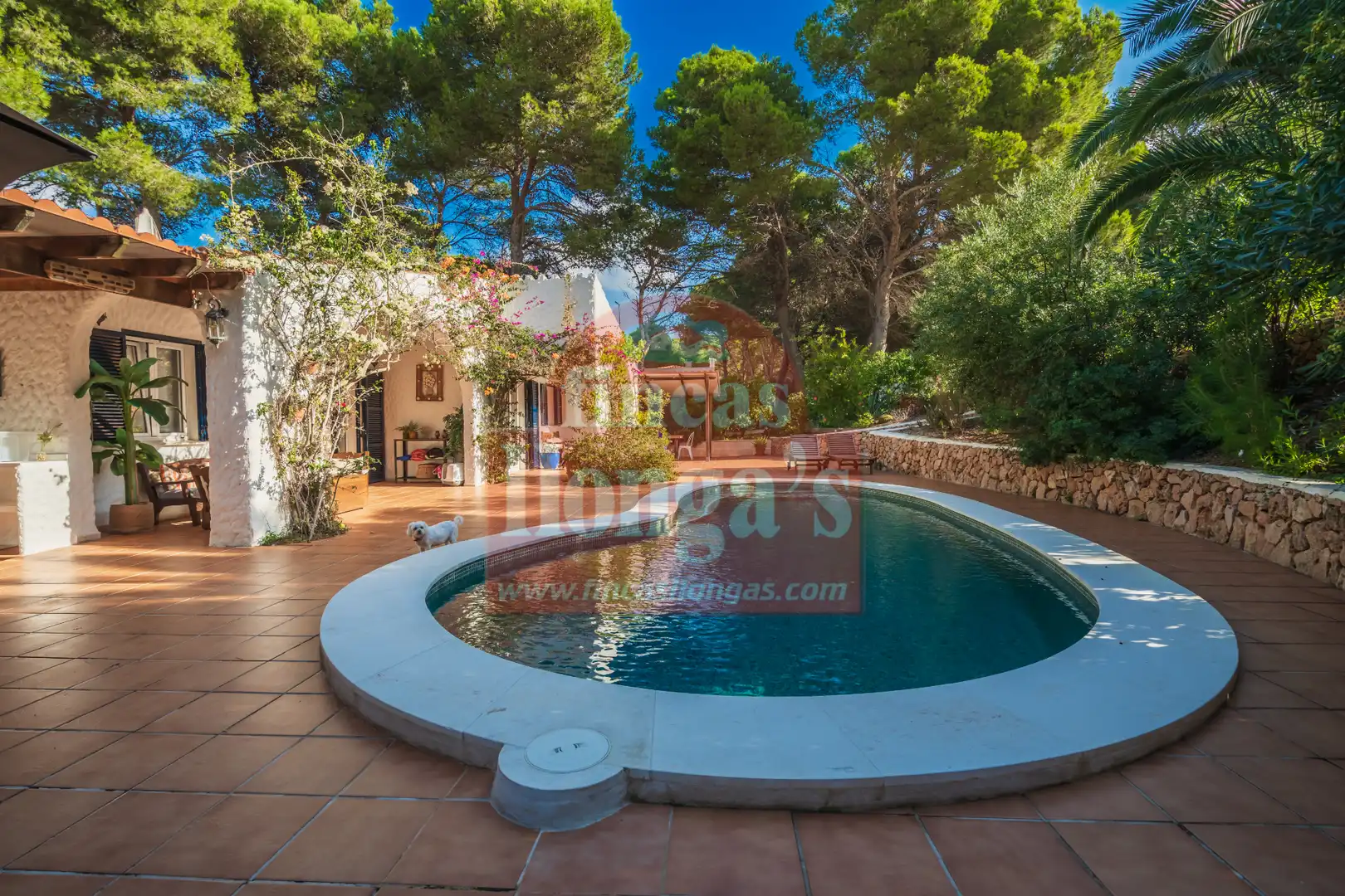 Detached house with pool for sale in Es Mercadal poble, imagen 5