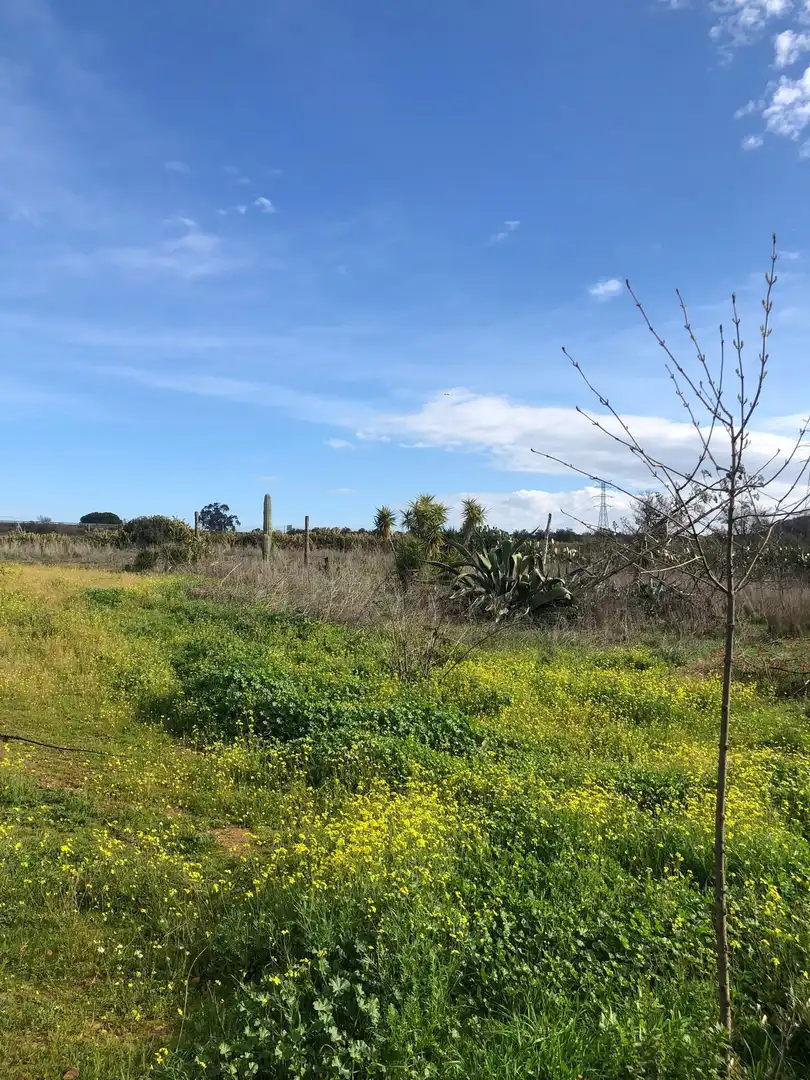 Country homes for sale in Mérida  with Heating, Private garden and Terrace