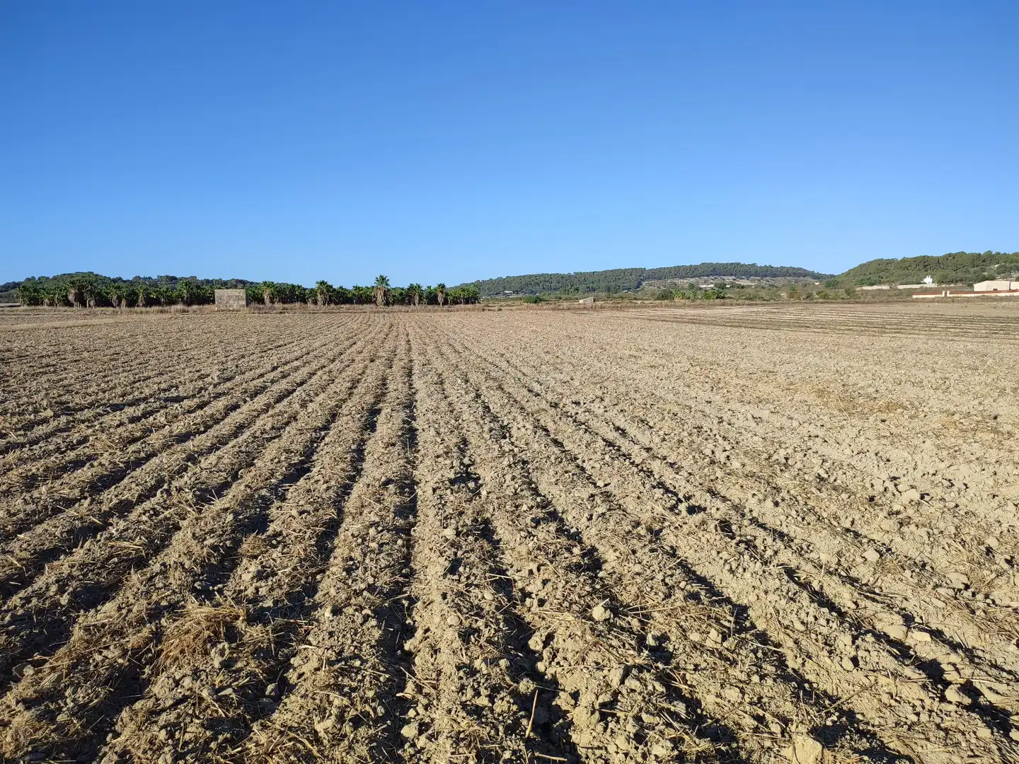 Terreny residencial en venda a Sant Joan, imagen 15