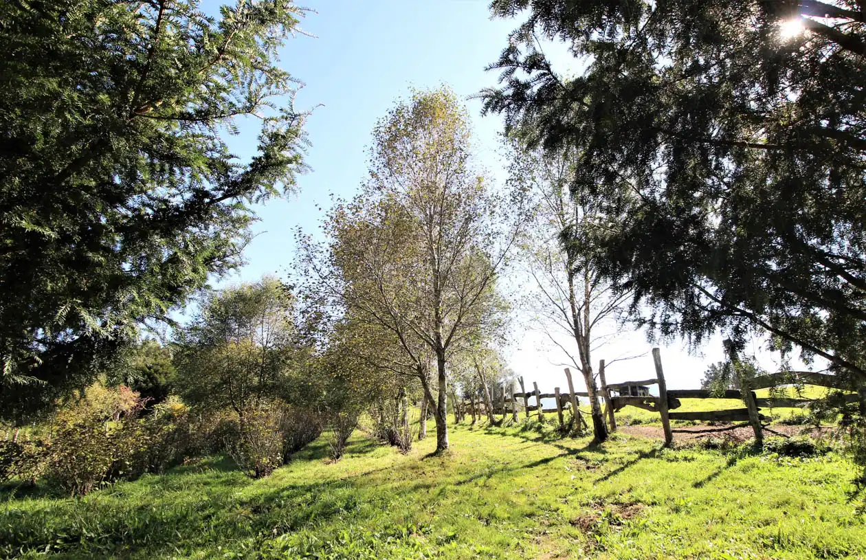 Casa o chalet en venta en A Pontenova   con Jardín privado