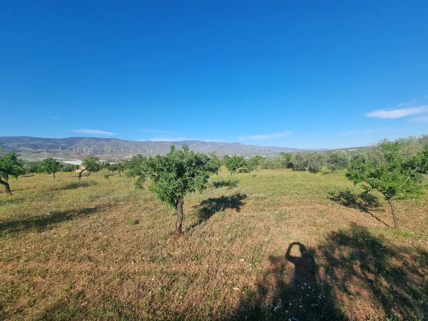 Terreno en venta en Abrucena