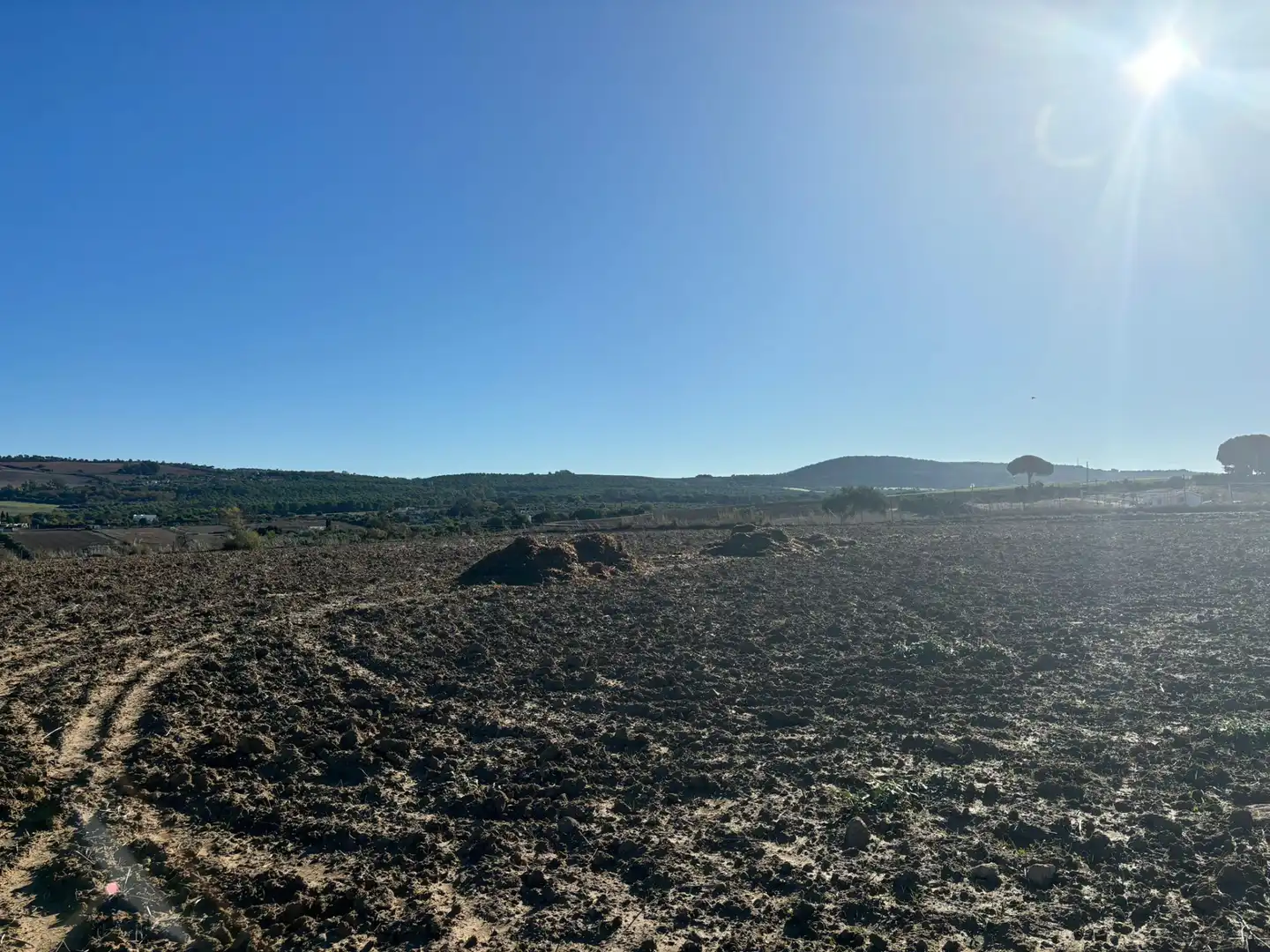 Terreny en venda en Arcos de la Frontera