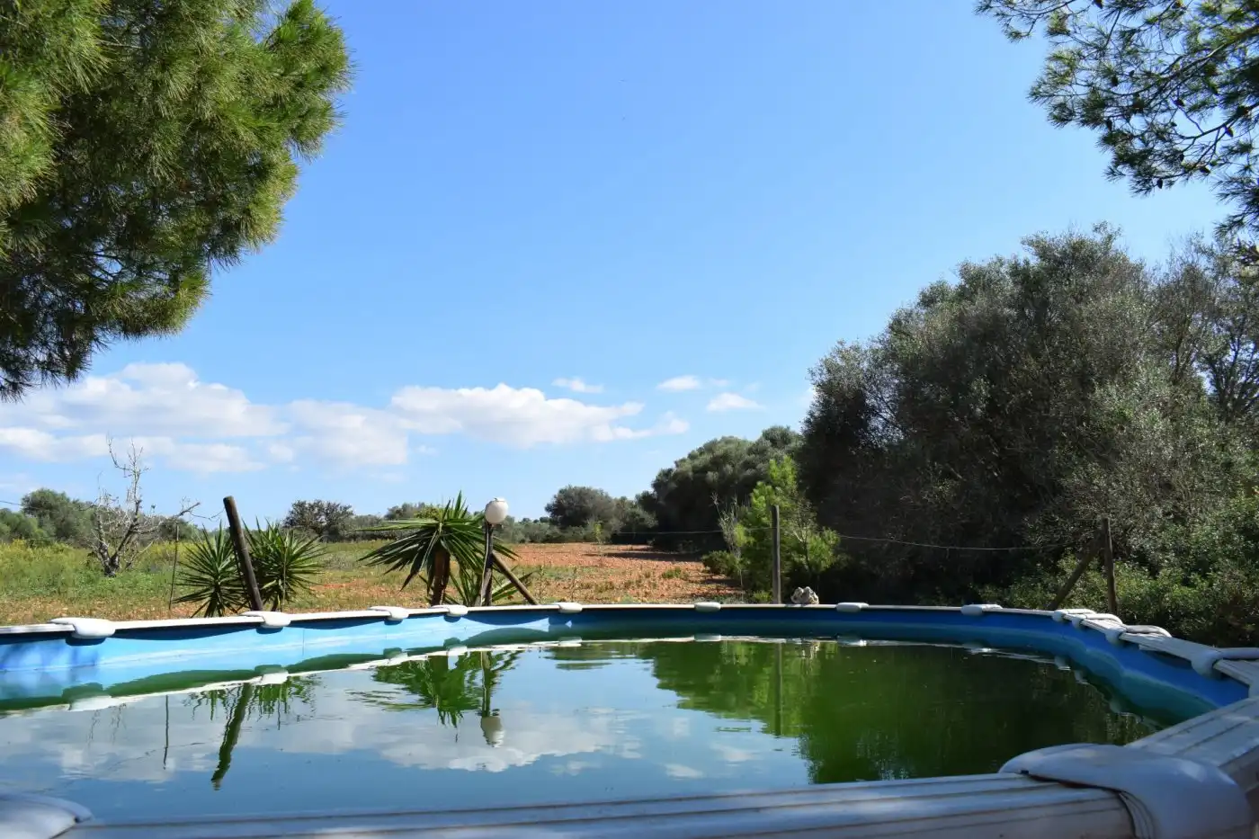 Piscina de Casa o chalet en venta en Campos con Calefacción, Terraza y Trastero