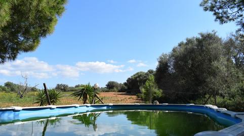 Photo 3 of House or chalet for sale in Zona Rústica - Interior, Campos