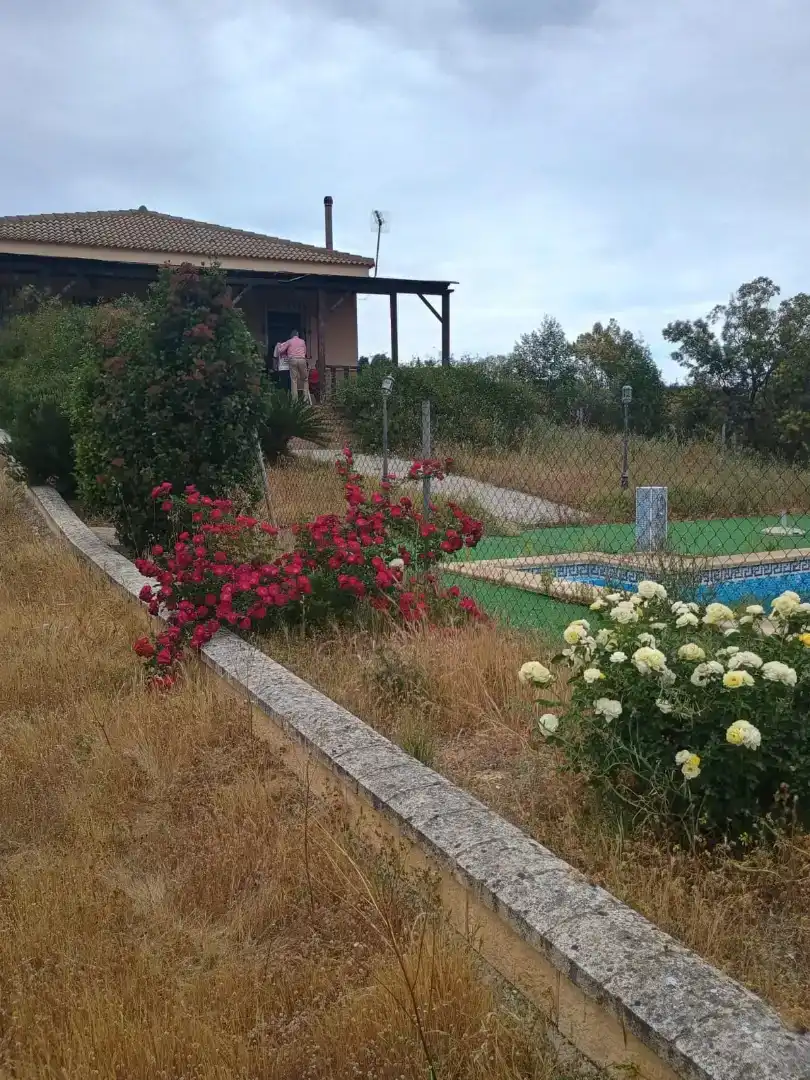 Jardí de Casa o xalet en venda en Trigueros amb Aire condicionat i Piscina