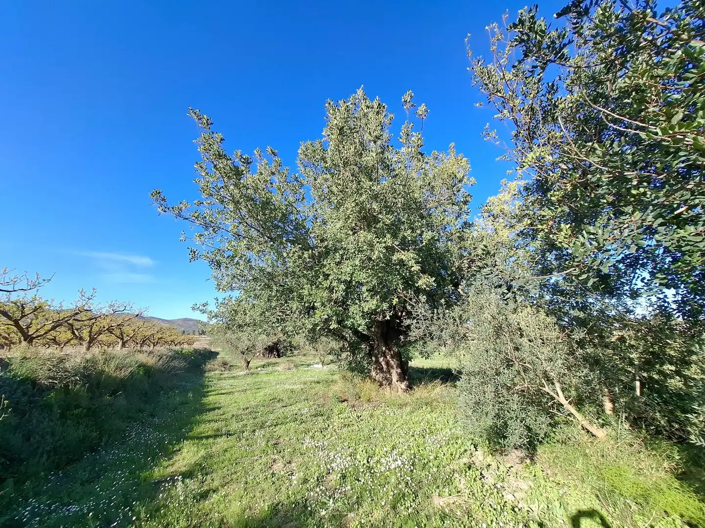 Residential for sale in Aielo de Malferit