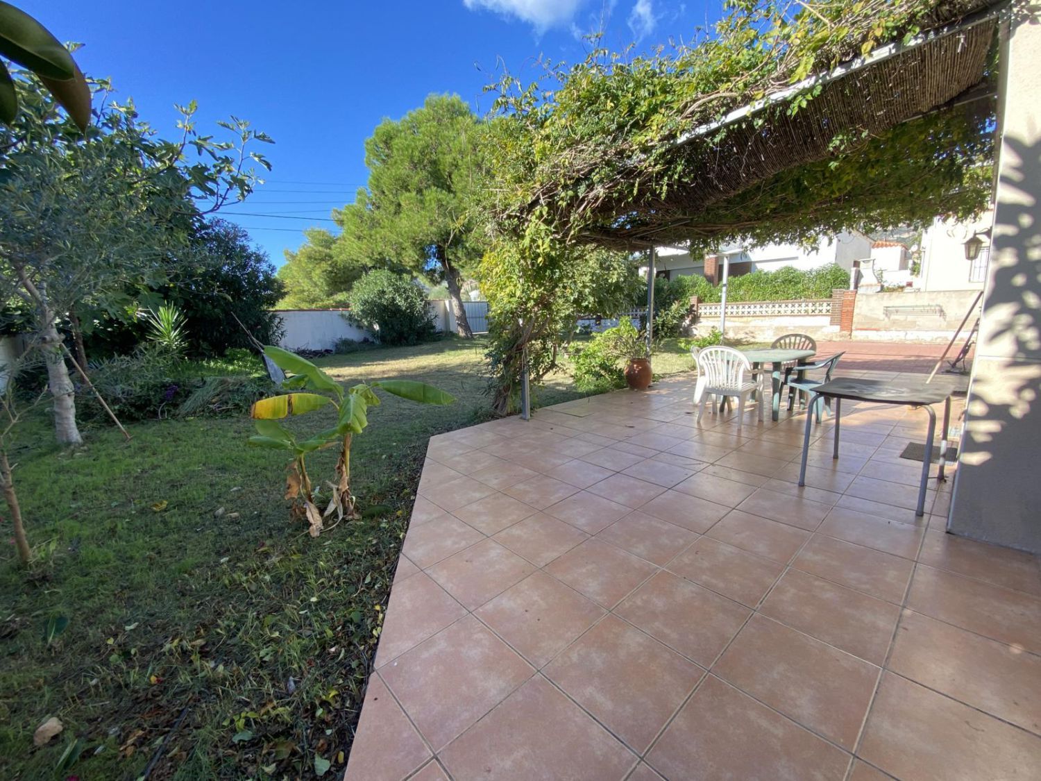 Jardí de Casa o xalet en venda en Alcanar amb Terrassa i Balcó