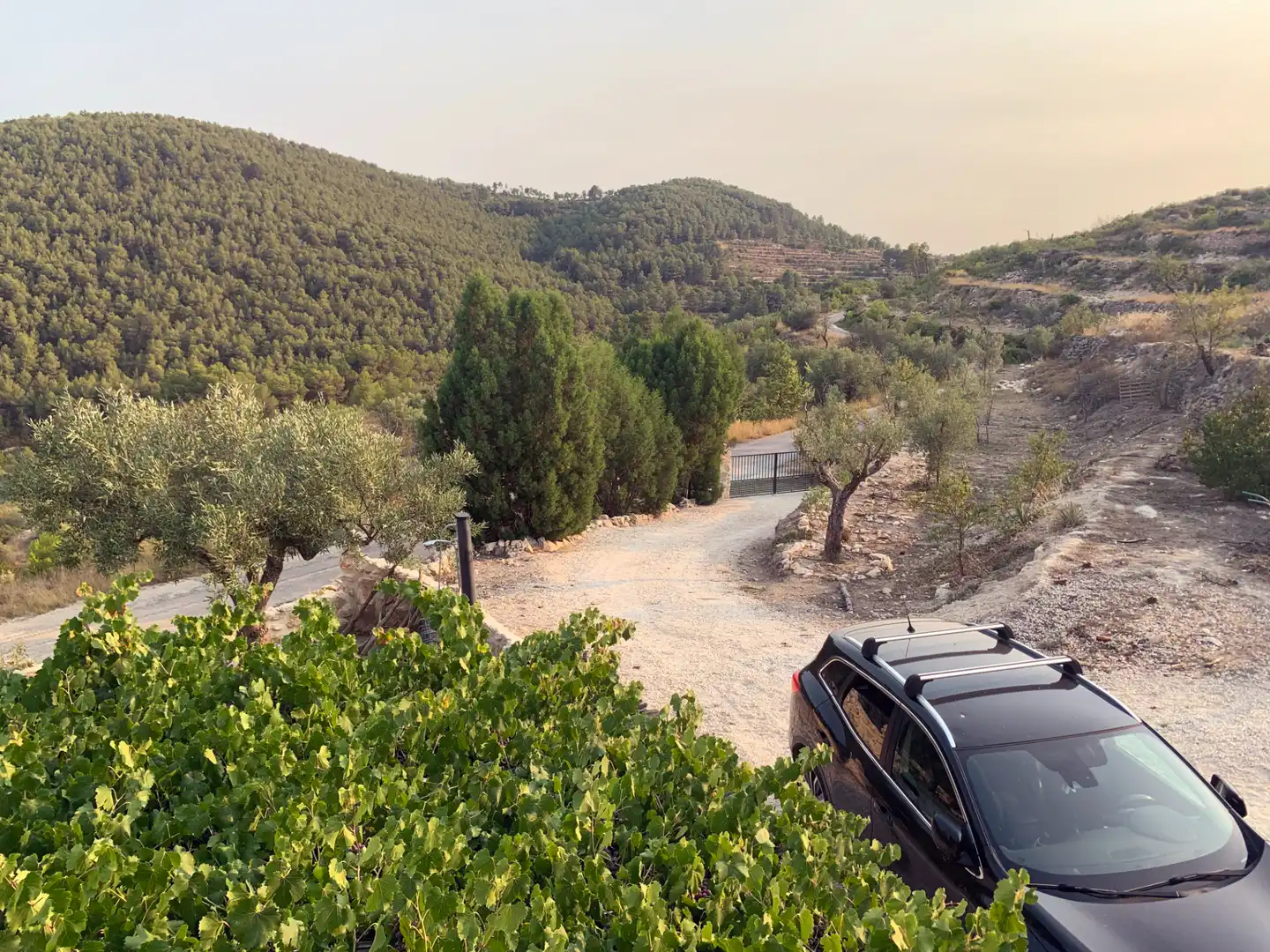 Country house with terrace for sale in Torremanzanas / La Torre de les Maçanes, imagen 29