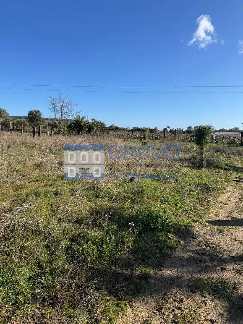 Terreni e lotti in vendita a Villanueva de la Serena, imagen 7