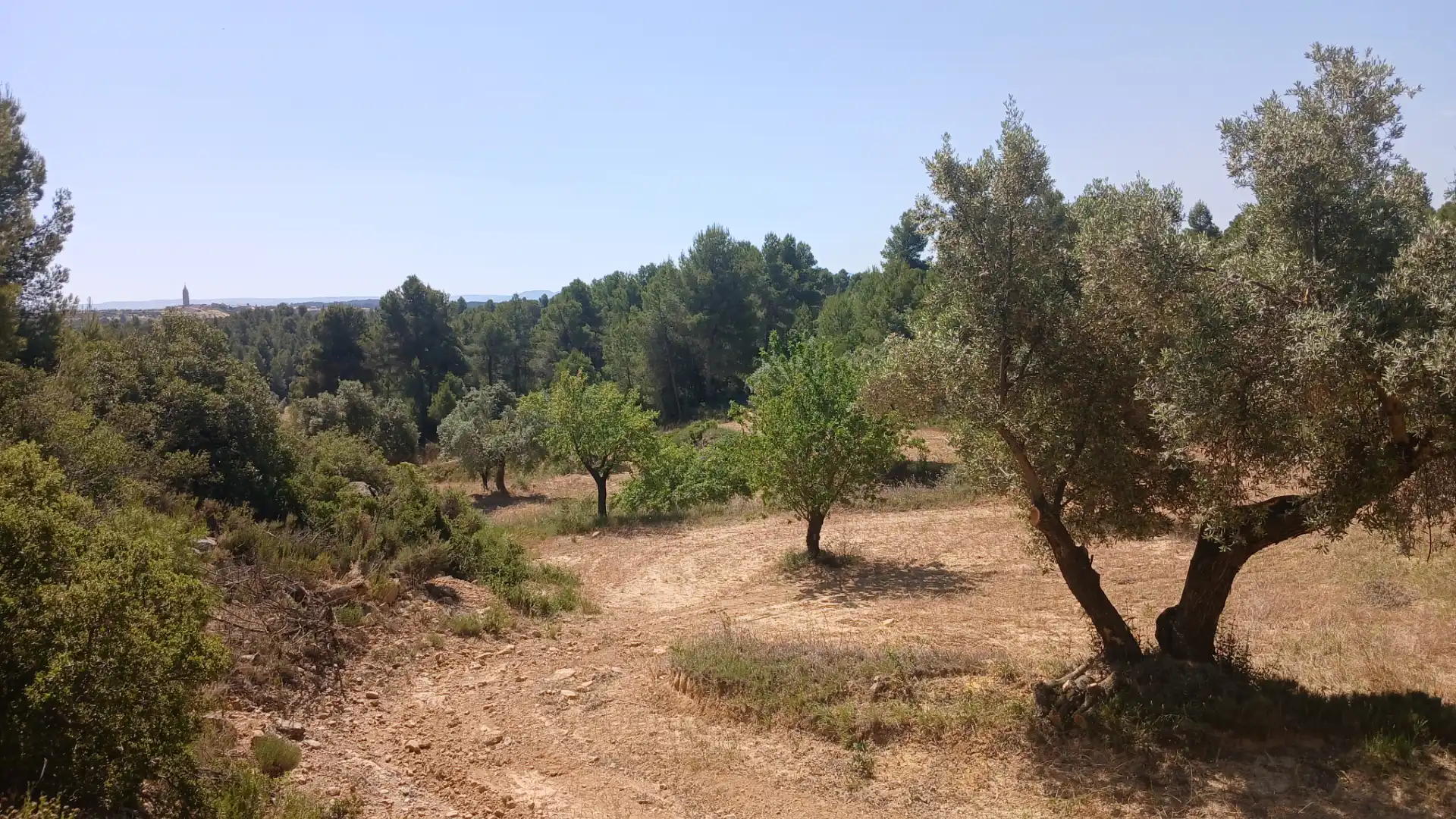 Terreno rustico in vendita a N/A, imagen 9