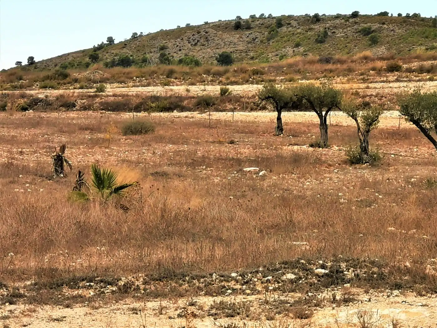 Grundstücke und Bauplätze zum Verkauf in Salinas, imagen 3