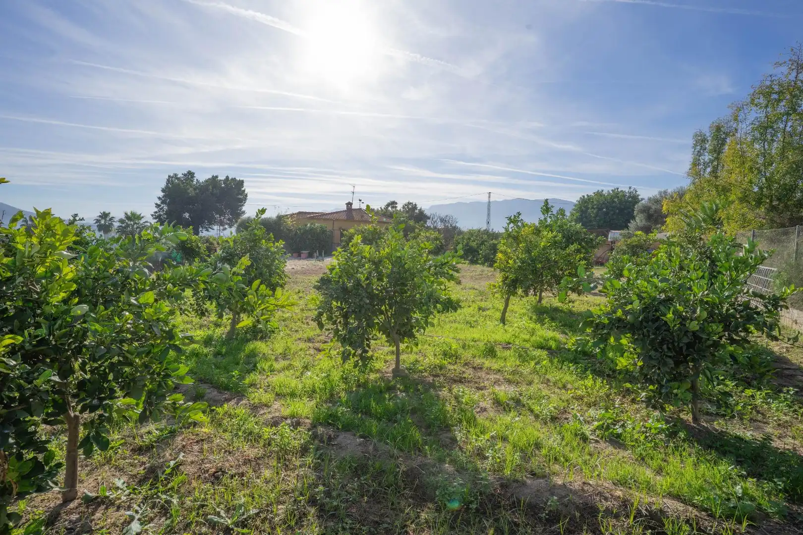 Houses for sale in Cártama  with Private garden, Terrace and Storage room