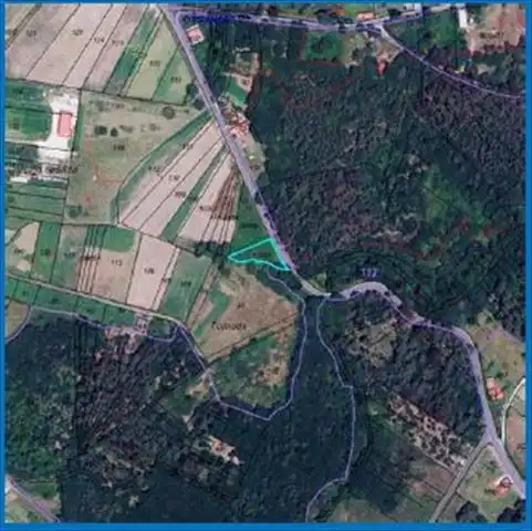 Rural land for sale in A Estrada