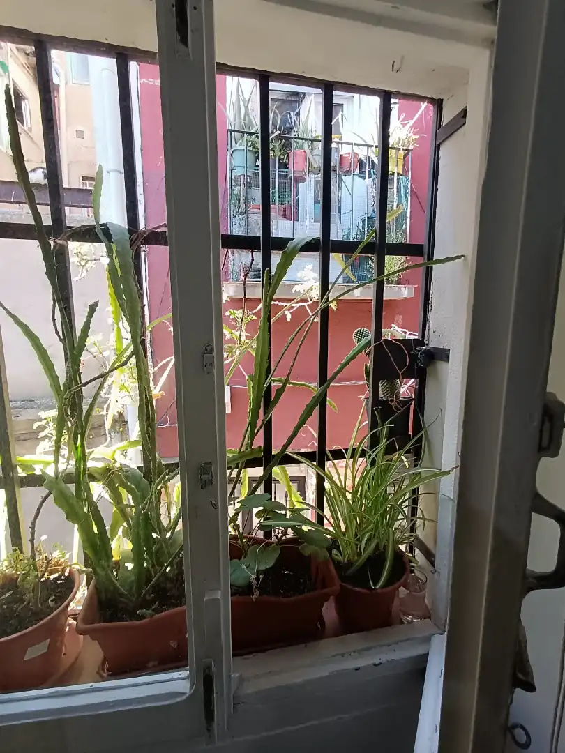 Casa adosada en venta en Calle de los Sastres, Calahorra