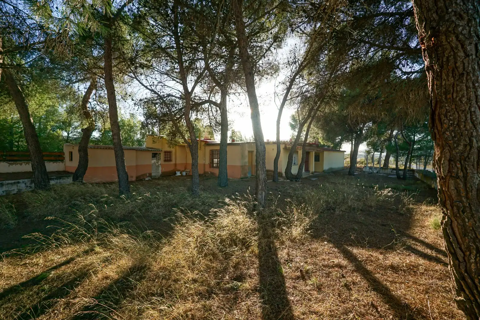 Vista exterior de Finca rústica en venta en Ibi con Jardín privado y Terraza